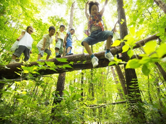 株式会社星野リゾートのプレスリリース画像