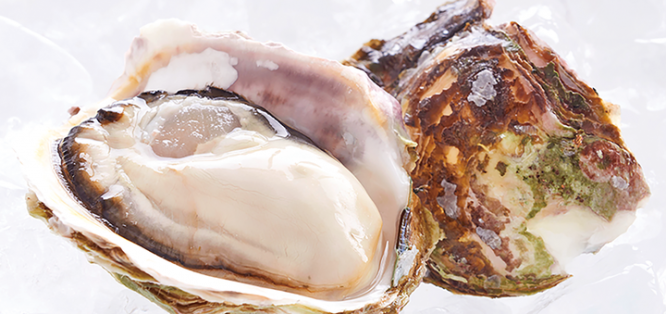 ジャックポットのプレスリリース画像