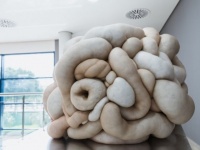 腸みたいで脳みたい。ウニャウニャの有機体っぽいアート。穴に手を突っ込み内部を探るインスタレーション作品「トルー」