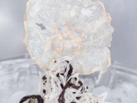 最初から塩味付いてるし。ヘルシーおいしいパリっと食感のクラゲから作る「クラゲチップス」が開発される