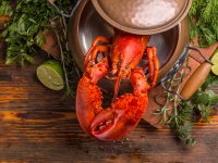 大麻を嗅いだロブスターは死の苦痛から逃れることができたのか？科学的に検証してみた