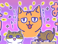 アレな生態系日常漫画「いぶかればいぶかろう」第33回：おでかけ後の再会。帰宅時の猫たちの反応