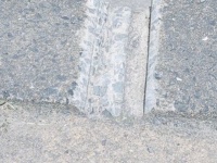 「急に自信ついたんかな」　路上の〝落とし物〟に15万人注目「飛び立つ季節」「巣立ちの時期か」