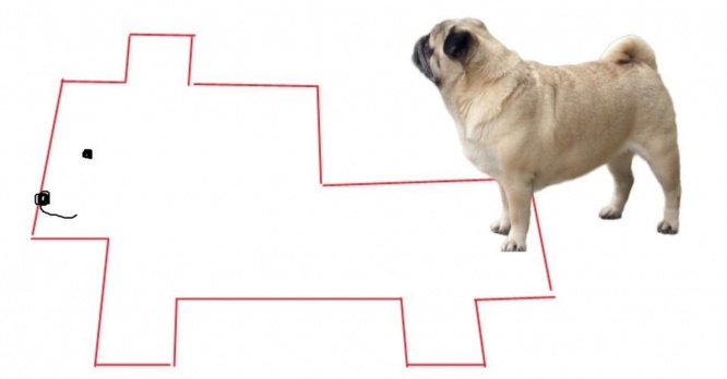 編集部作成、犬の写真はphotoACより