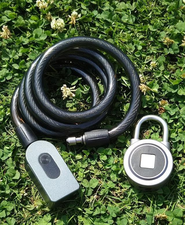 ADZUKI TRADINGのプレスリリース画像