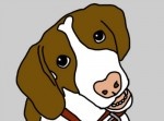 【見落としてない？】犬は１０の方法であなたに愛を伝えていた！