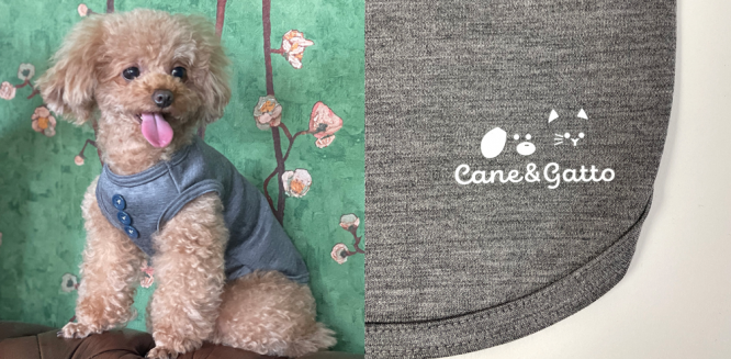 株式会社BARNUMのプレスリリース画像