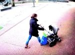 道を歩いている親子にどデカい倒木が・・・！！