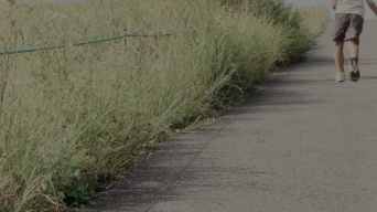 「長い帰り道を一人で歩く幼稚園児の私。後ろから来て停まったバスから現れたのは」