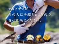 チョウザメが日本それも愛知県で獲れるとは？（提供：東三河広域連合）