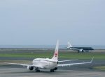あわや墜落という事態…！　鳥がエンジンに衝突し旅客機が胴体着陸。