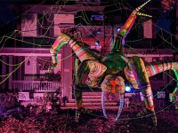 巨大蜘蛛が蜘蛛の巣から降りてくる！アメリカのハロウィンは今年も健在だった