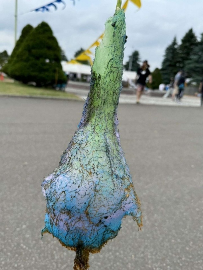 わたあめの面影はどこに... 