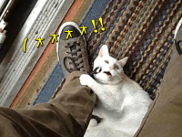 置いてかれてたまるもんか！飼い主のお出かけを察知したペットたちの涙ぐましい所業をご覧ください