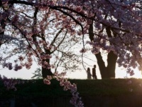 男子の願望！　春こそ、デートで訪れたいスポット6