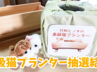 有限会社ケイカンパニーのプレスリリース画像