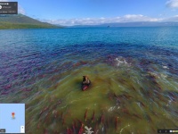 いた！！（画像はGoogleマップストリートビューのスクリーンショット）