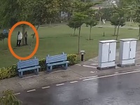 嵐の時に木の下にいると危険！雷が木を直撃、雨宿りをしていた4人の男性が倒れる