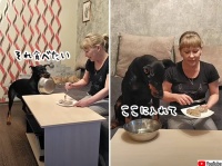欲しい！でも悲しそう。犬の中でせめぎ合う悪魔と天使の戦いは、天使の勝利に終わる