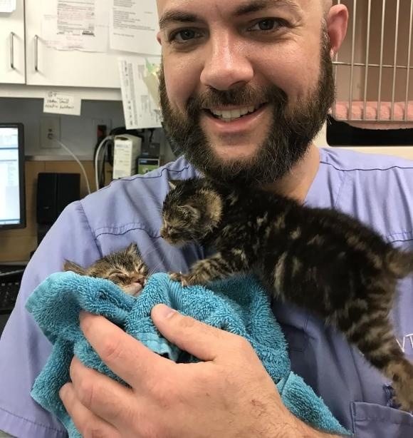 cat-5 [www.imagesplitter.net]