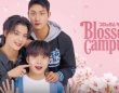 韓国BLドラマ『Gray shelter 』『Blossom Campus』FODで独占見放題配信