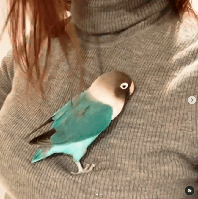 ※画像は新井恵理那のインスタグラムアカウント『＠elina_arai』より