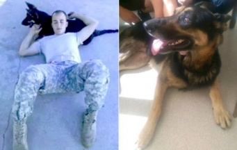 世の中捨てたもんじゃない。愛犬に不慮の事故、別離を余儀なくされていた兵士に救いの手が差し伸べれられる。