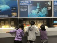 みなとみらいPRセンターのプレスリリース画像