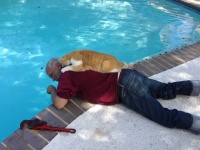 猫を愛し、猫に愛された男たち。磁石のようにくっついてる猫とメンズの写真館