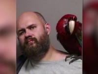 出頭命令を受けた男、ペットのオウムと一緒に写ったマグショットが話題に