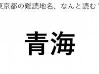 ヒント：おうめ、ではありません