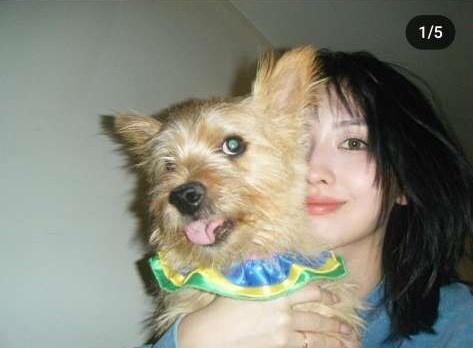 Instagram:モモ(@momo)より