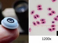 スマホに装着するだけで1200倍の顕微鏡として機能する小型レンズが販売決定
