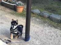 「絡まりましたけど？」（写真はひなたさんのツイートより）