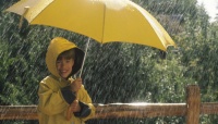 ジメジメした日はこれ！ 大学生が選ぶ「雨ソング」5選「レイン(シド)」「傘クラゲ(レミオロメン)」