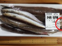 鮮魚「エソ」の詰め合わせパックに...（画像はsawagani550（＠sawagani550cc