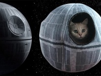 スターウォーズ宇宙要塞「デス・スター」がペットハウスとなって予約販売受付中！