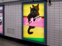 ロンドンの地下鉄構内に貼られている広告をすべて猫に変えてしまうプロジェクトが発足