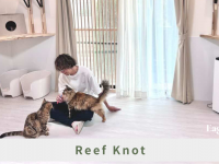 Eager Beaverのプレスリリース画像