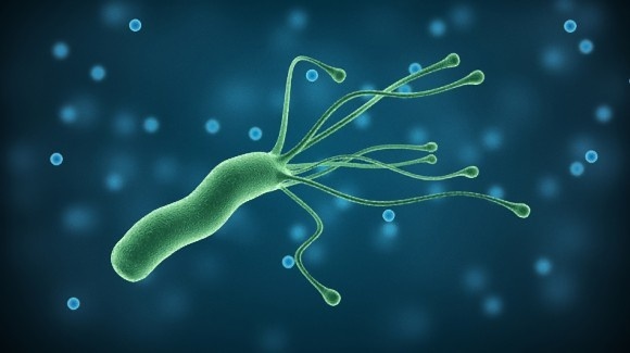 iStock-869398334_e_e