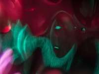 アマゾンの伝統的幻覚剤「アヤワスカ」脳波を変化させ白昼夢を見ている状態を作り出していた（英研究）