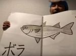 実在する魚の名前を繋げて、あの名曲『小さな恋のうた』を歌う男。