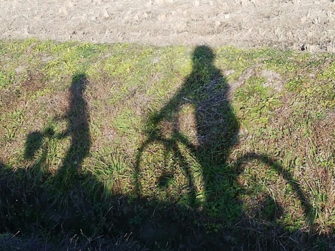 ※画像はイメージです