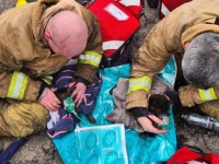 小さな尊い命が救われる瞬間。火事で心肺停止に陥った2匹の猫に小さな酸素マスクで救命措置（イギリス）