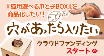 株式会社　ごえんのプレスリリース画像