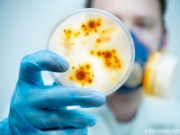 海底のさらに下、地殻の奥深くから微生物が発見される（米研究）