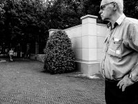 画像はイメージです（Pascal Maramisさん撮影、Flickrより）