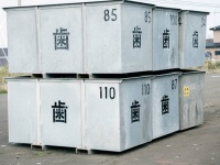 大量の「歯」が入ってる？　北海道で発見された「奇妙な箱」の正体は...