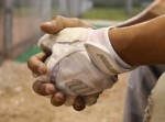 「おかわり君のタッチは痛かった！」　元高校球児の芸人が振り返る