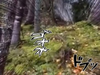 地震じゃないだと？地球が深呼吸しているようにみえる衝撃映像の正体は？（カナダ）